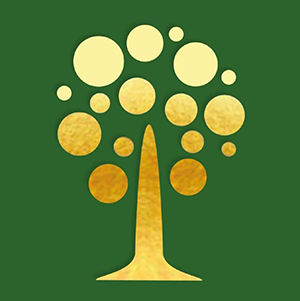 power foundation of india